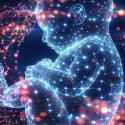 Prenatal Genetik Tarama Testleri: Doğum Öncesi Sağlıklı Bir Adım